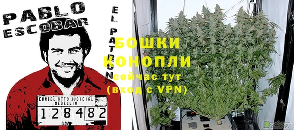 дживик Аркадак