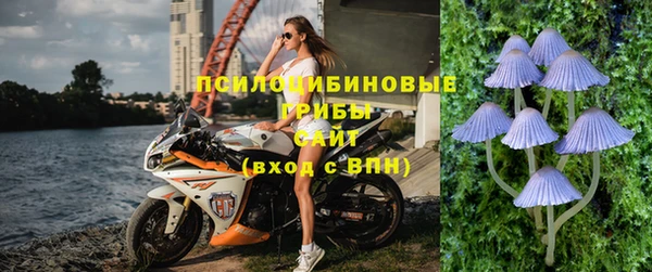 дживик Аркадак