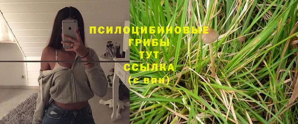Альфа ПВП Армянск