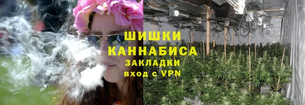 дживик Аркадак